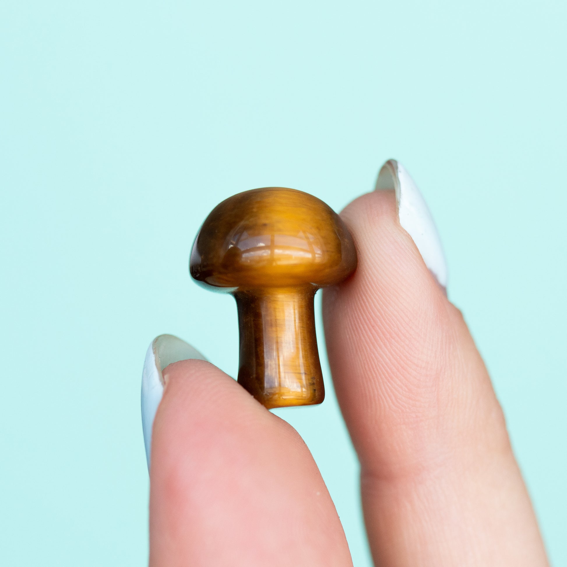 Tigers Eye Mushroom