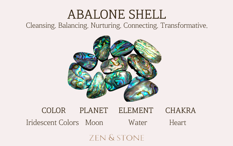 Abalone Shell – Meanings, Uses, & Healing Properties