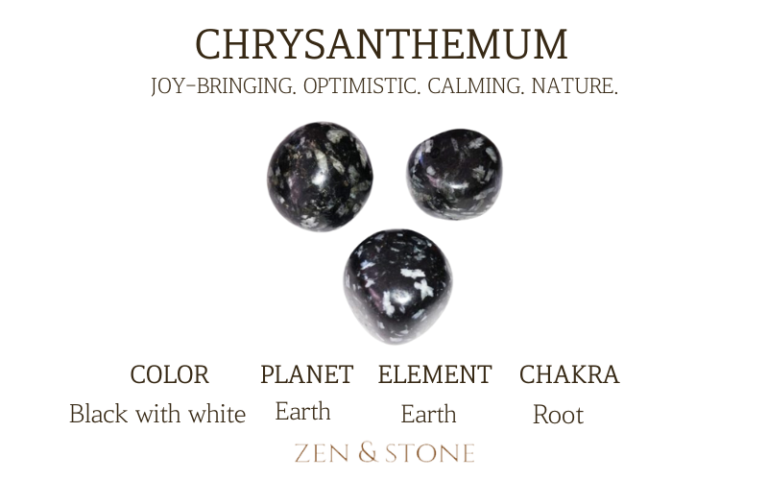 Chrysanthemum – Meaning, Uses, & Healing Properties