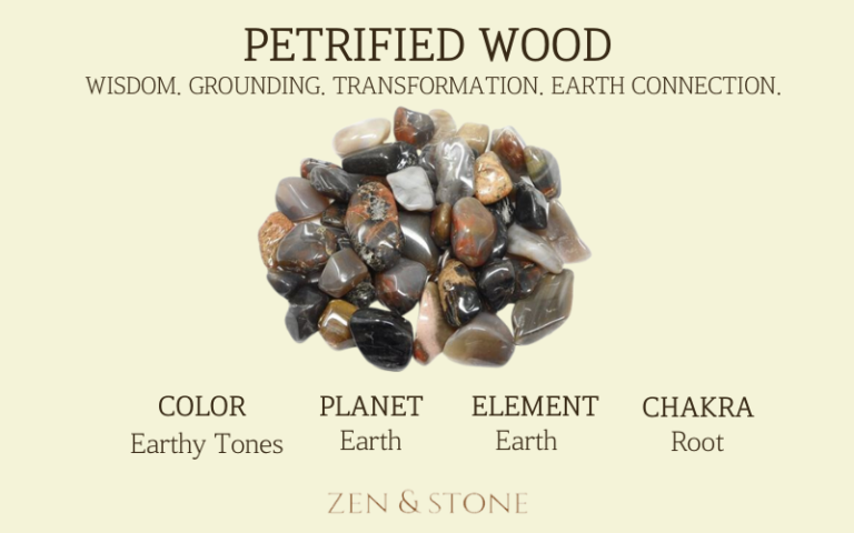 Petrified Wood – Meaning, Uses, & Healing Properties