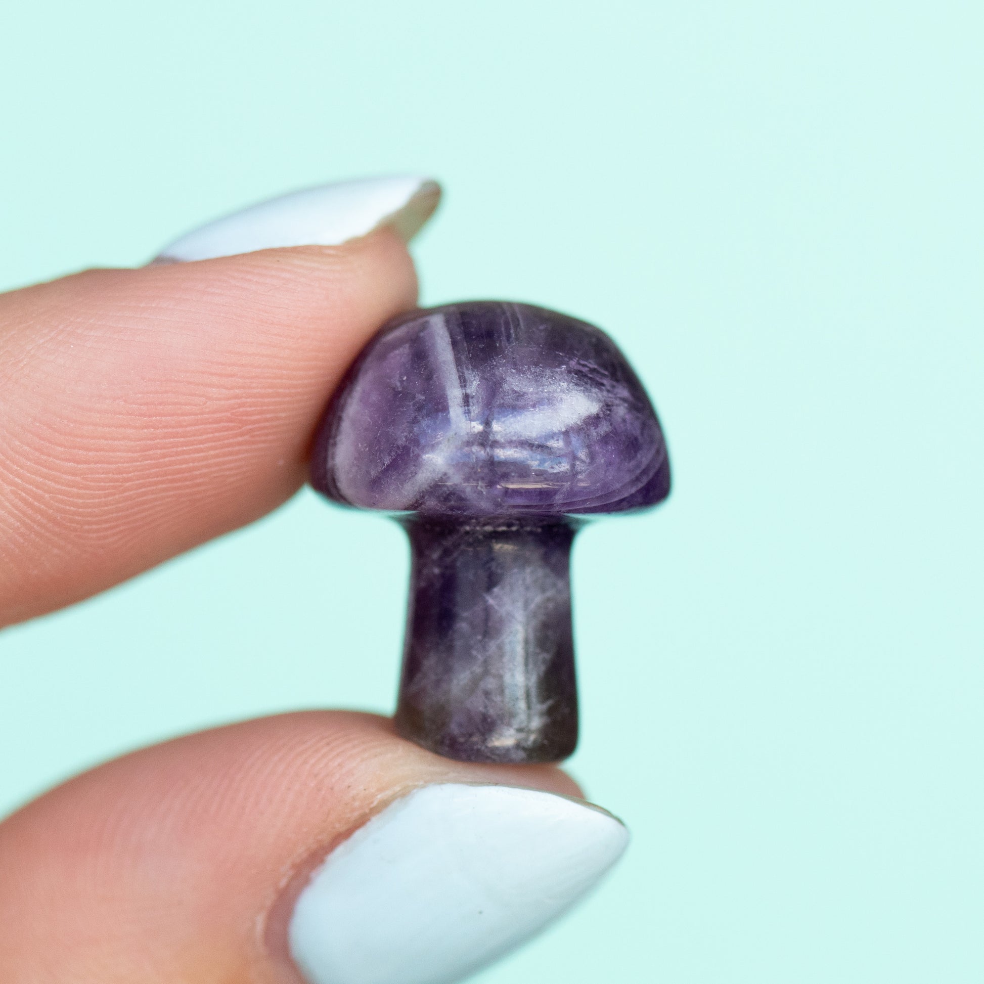 Amethyst Mushroom