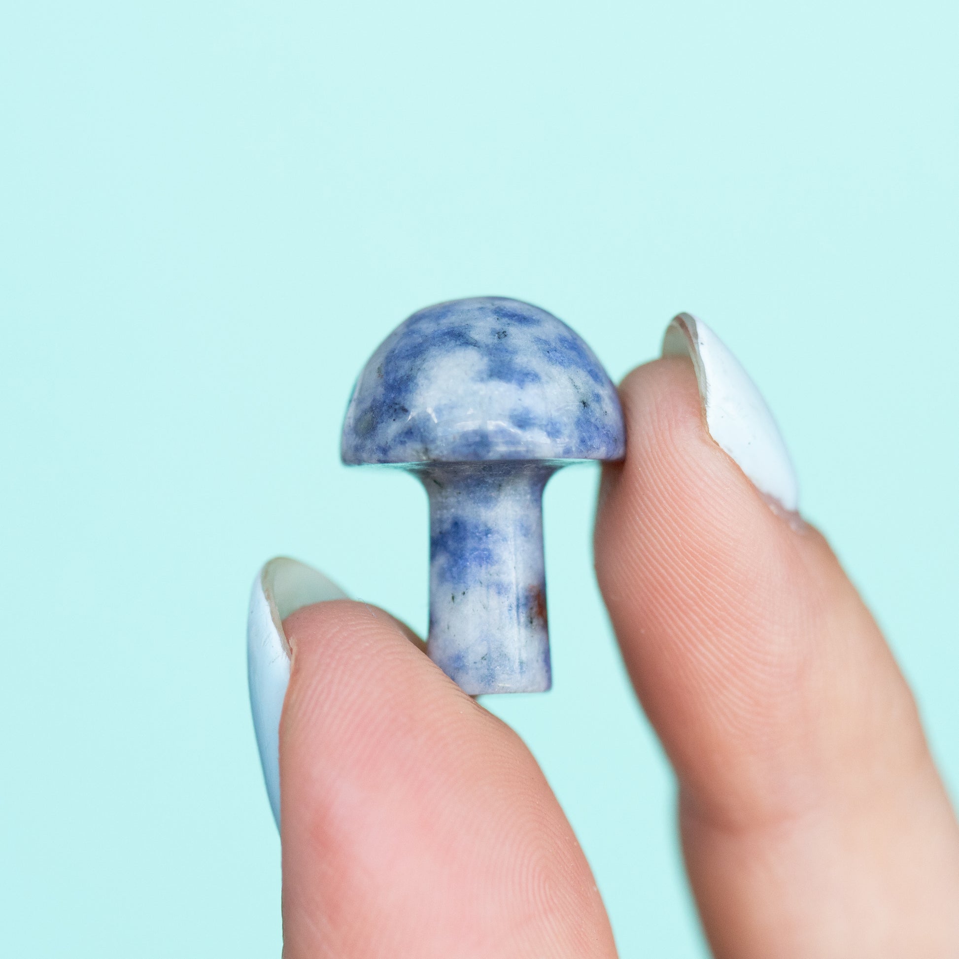 Sodalite Mushroom
