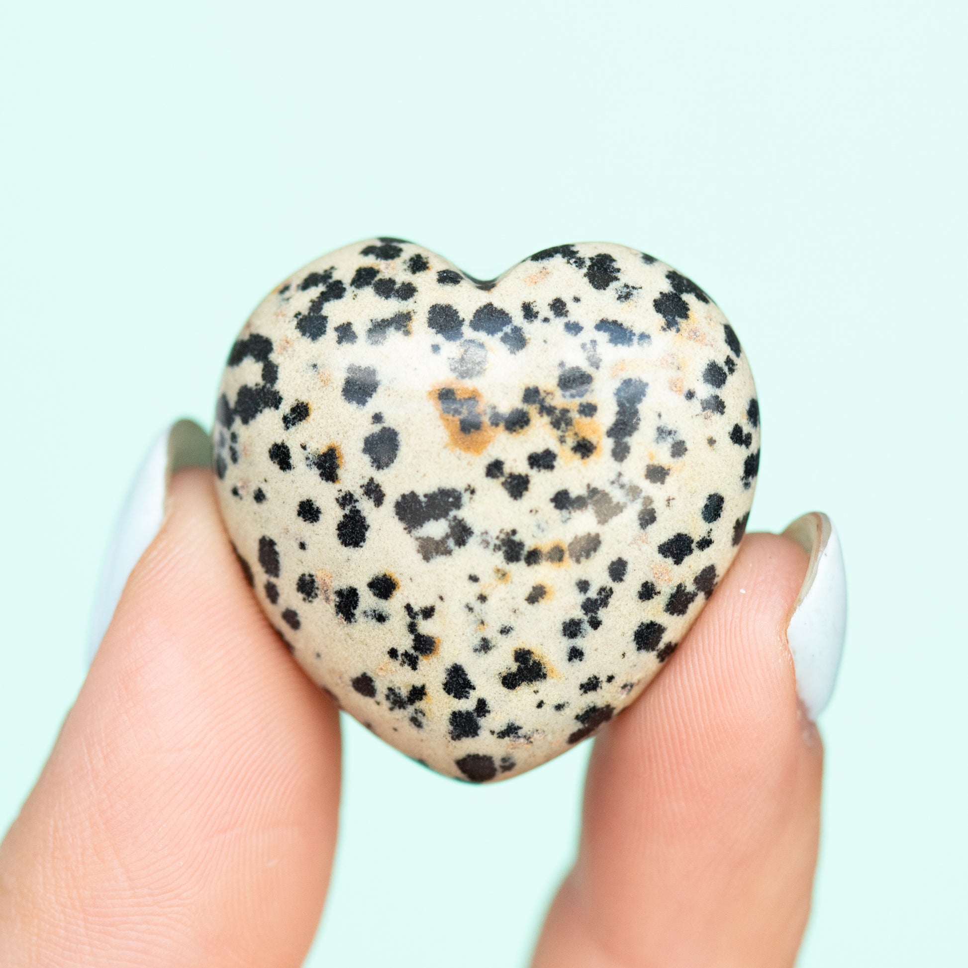 Dalmatian Jasper Heart