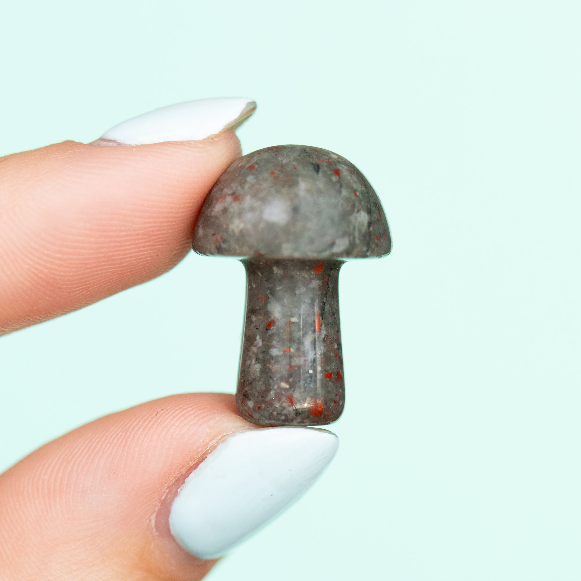 Bloodstone Mushroom