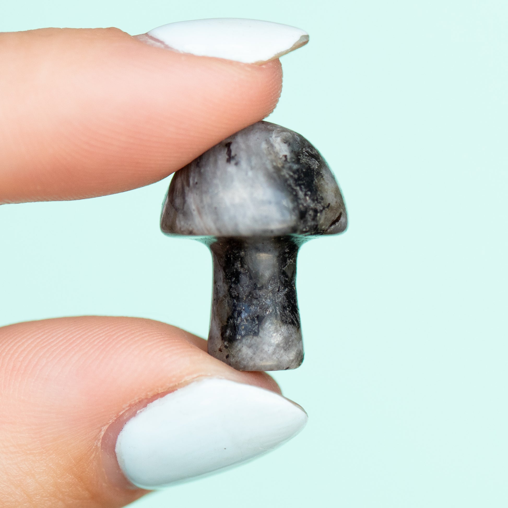 Black Spectrolite Mushroom