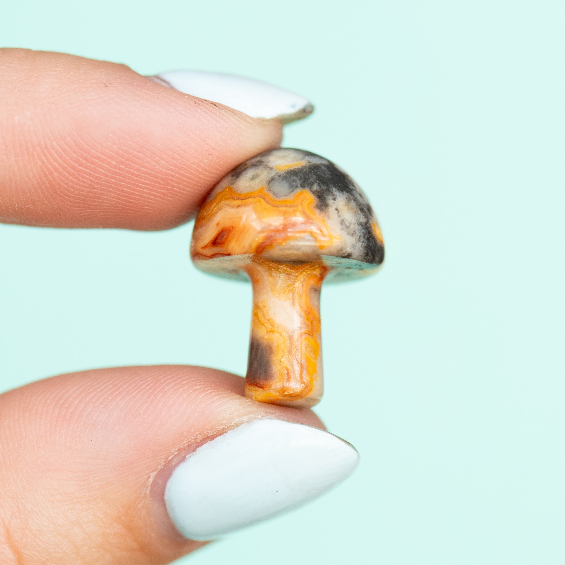 Crazy Lace Agate Mushroom