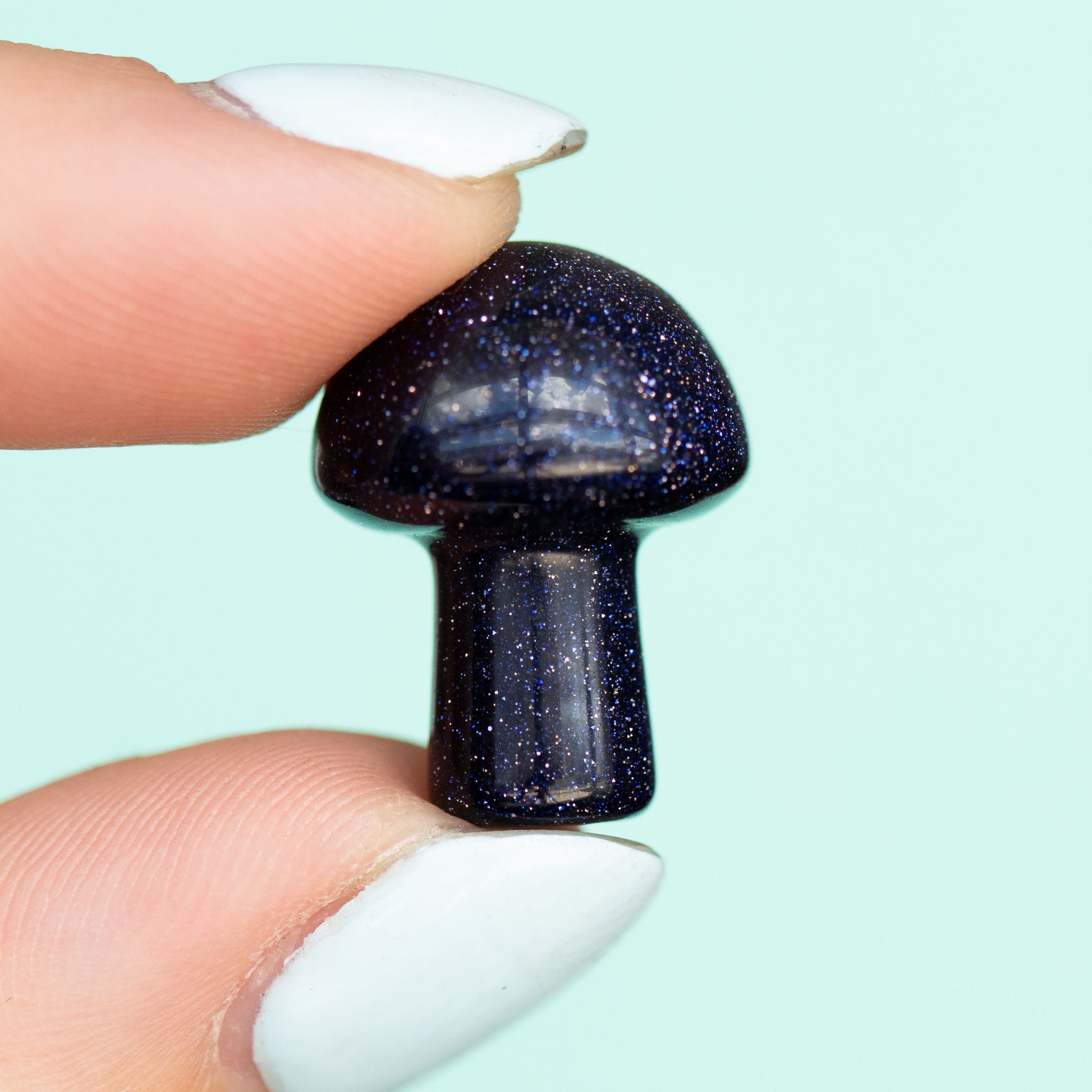 Blue Goldstone Mushroom