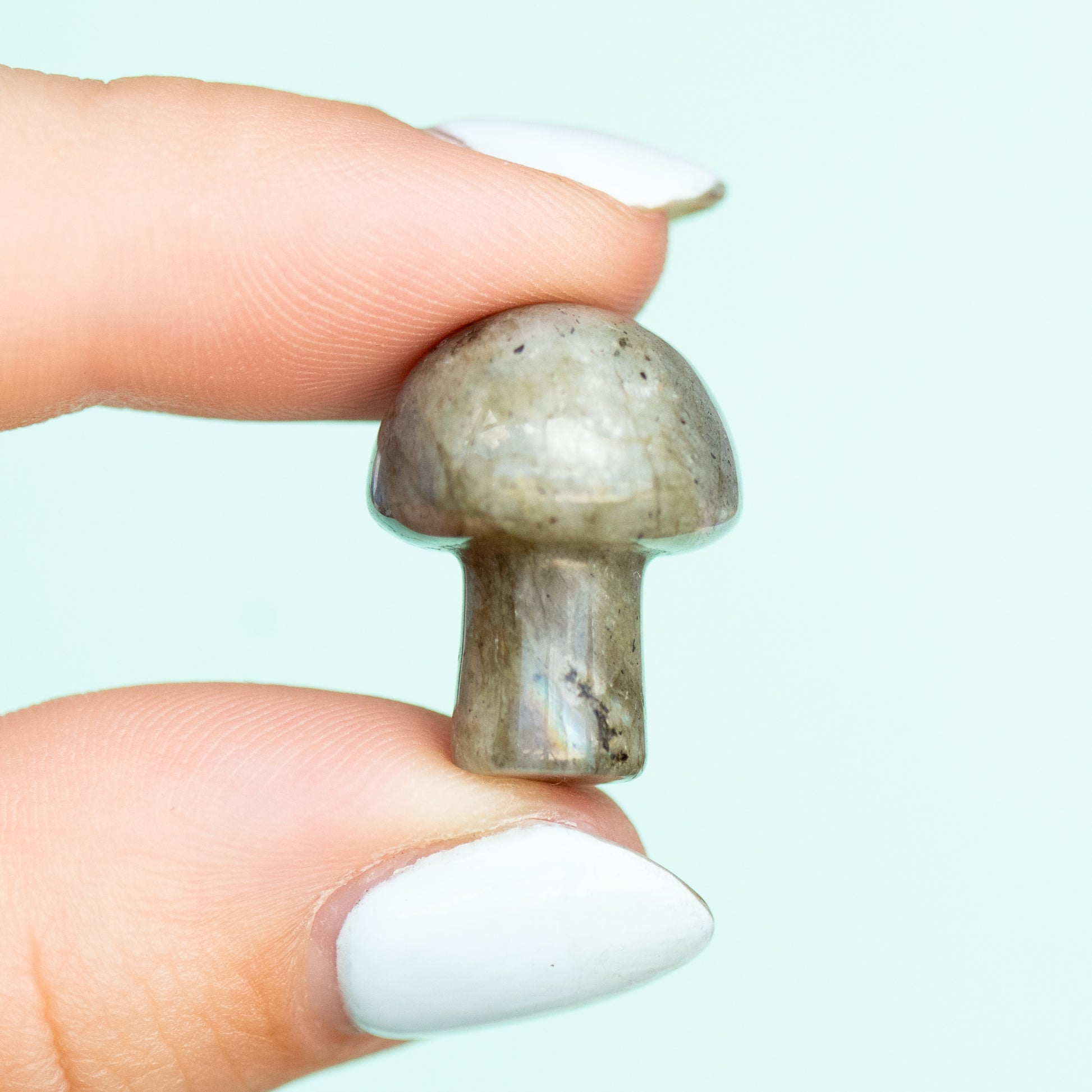 Labradorite Mushroom