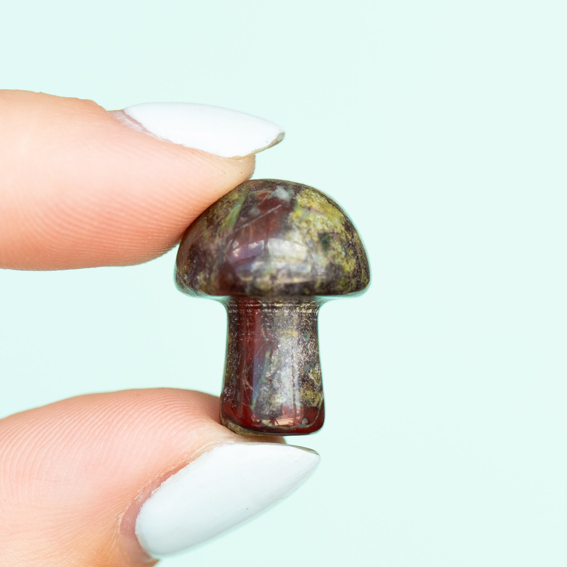 Dragon Blood Mushroom