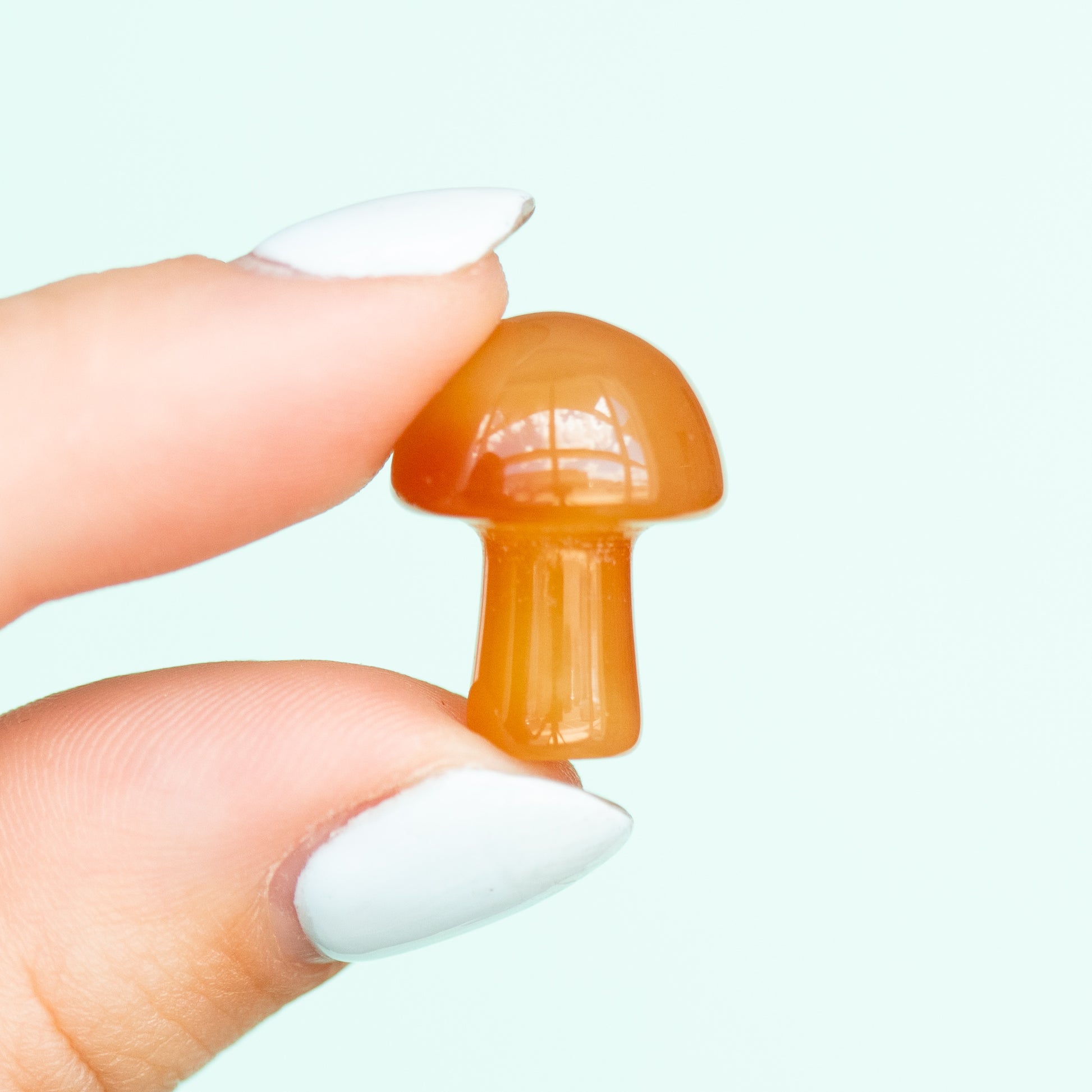 Carnelian Mushroom