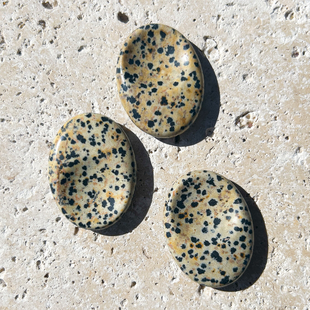 Small Dalmatian Jasper Worry Stone