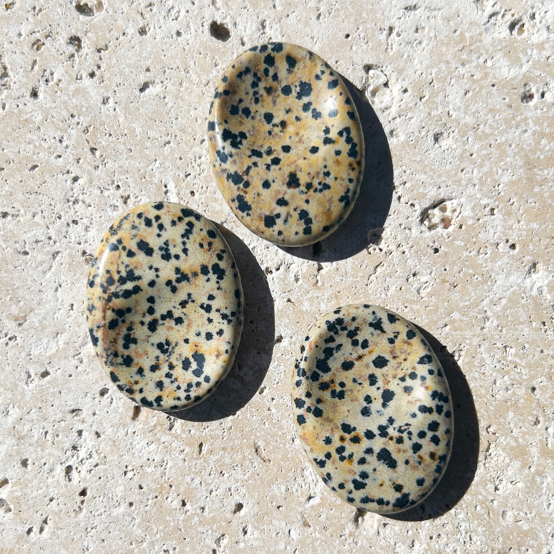 Small Dalmatian Jasper Worry Stone