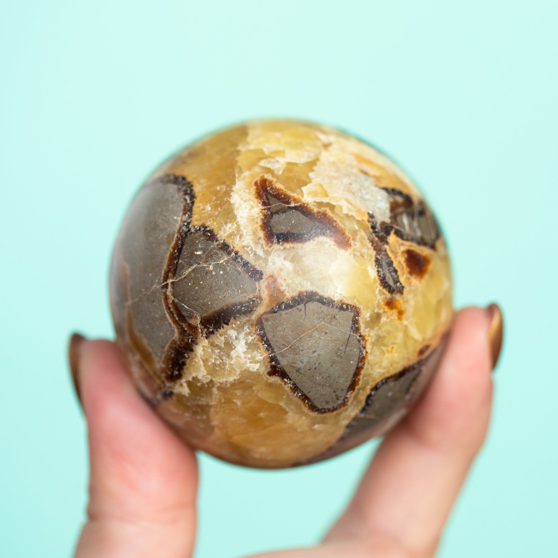 Septarian (Dragon Stone) Large Sphere
