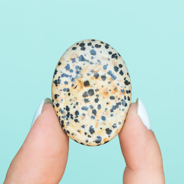 Small Dalmatian Jasper Worry Stone