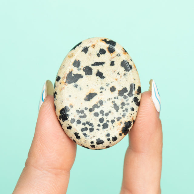 Natural Dalmatian Jasper Worry Stone